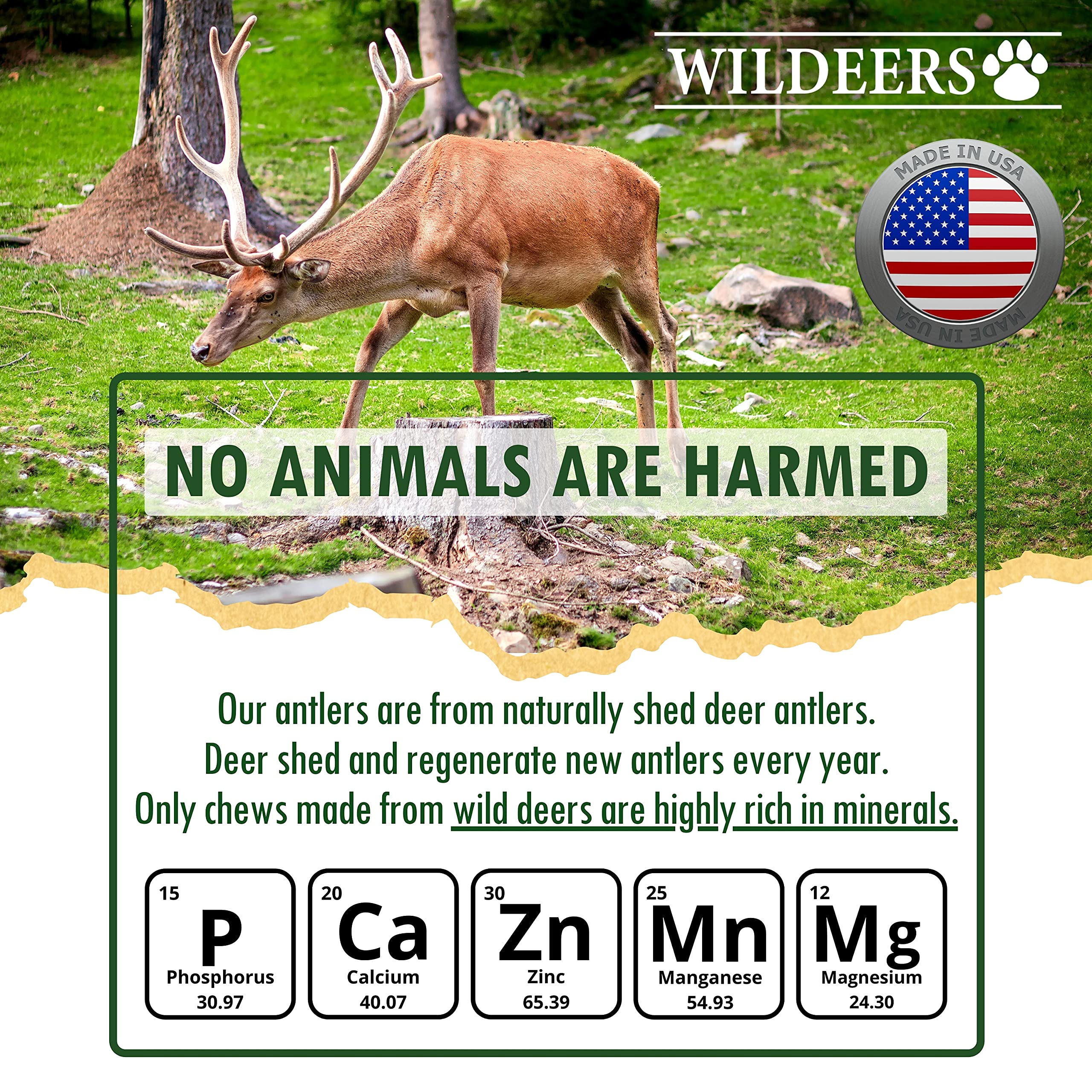 Wildeers Large Deer Antlers for Dogs - Premium Dog Antler Chews - Made in USA, Naturally Shed, Healthy Treat - Grade A, 7-9 in,
